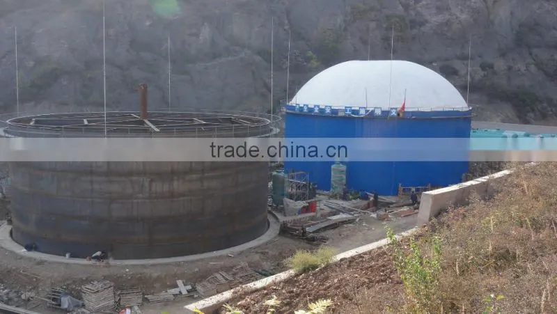 China PUXIN Soft Dome Biogas Digester for Hog Manure Treatment