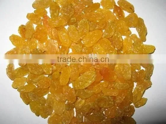 Supply Varies Dried Raisins in high quality