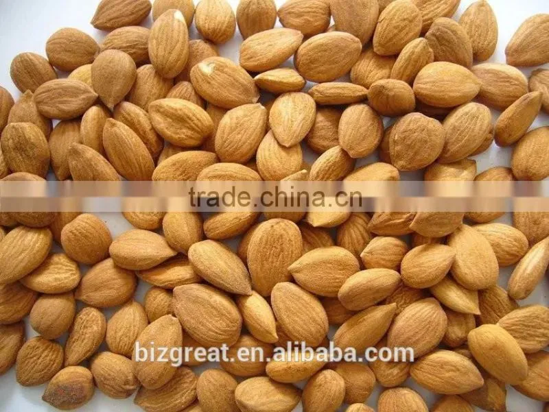 Supply with Chinese Bulk Sweet Apricot Kernels Youyi Type with good quality for Sales