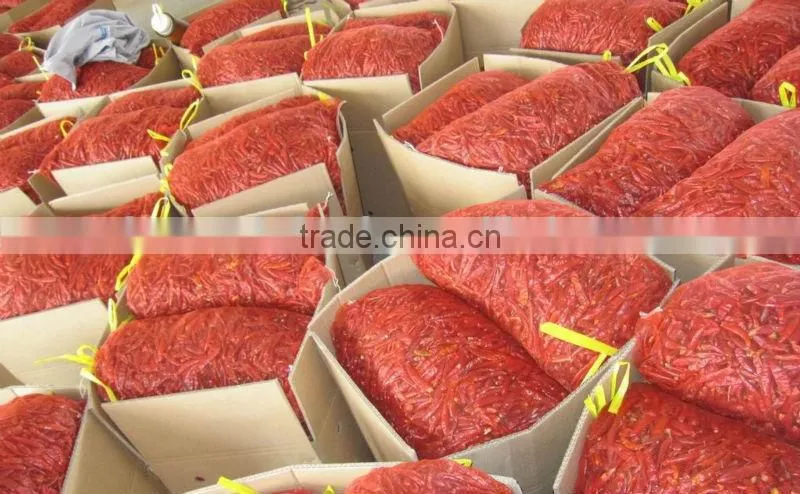 red chili