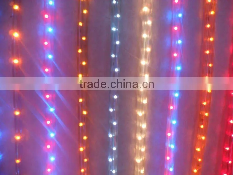colorful high brightness waterproof LED string light