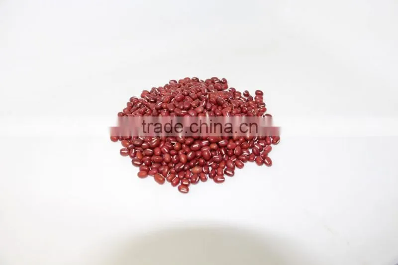 Adzuki Bean