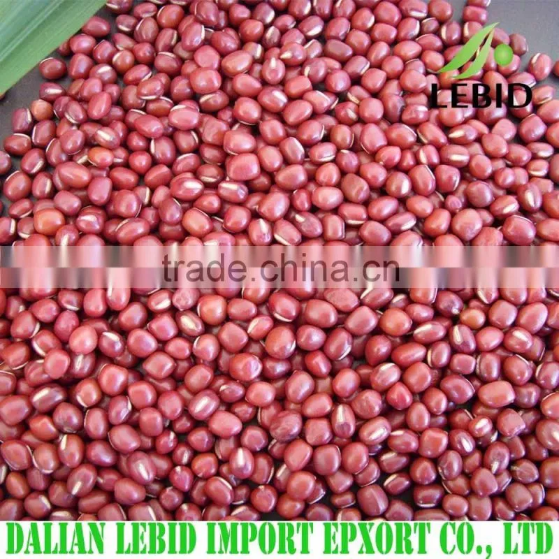High quality white kidney beans spanish type