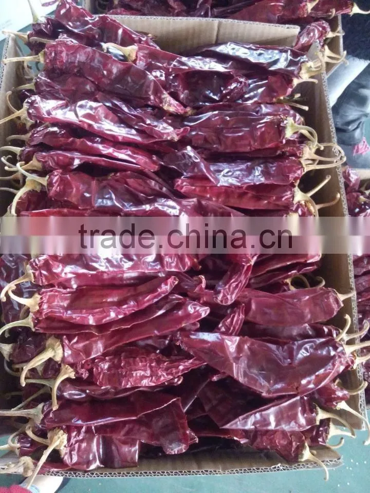 2015 Paprika box Best Grade Paprika Pods