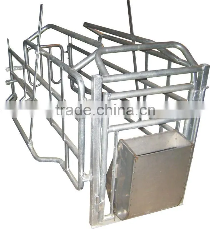 Sow Stainless Steel Feeding Trough