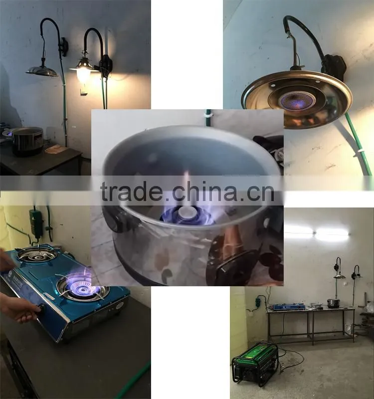 Mini portable assembly biogas system