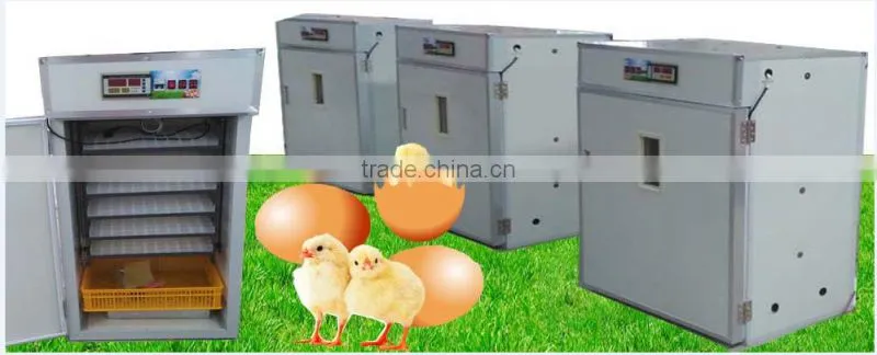 Automatic 221 eggs incubator for quails HJ-I1