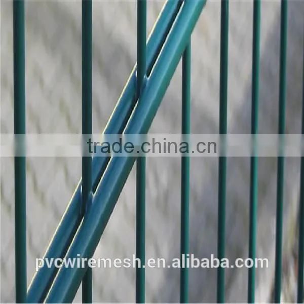 Electro galvanized Double wire fence