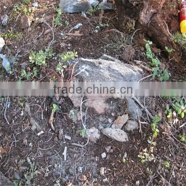 Durable quanlity coal Backpack gold rock drill/hand held rock drilling equipment