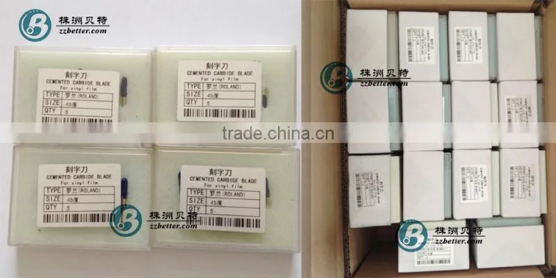 Tungsten carbide plotter holder