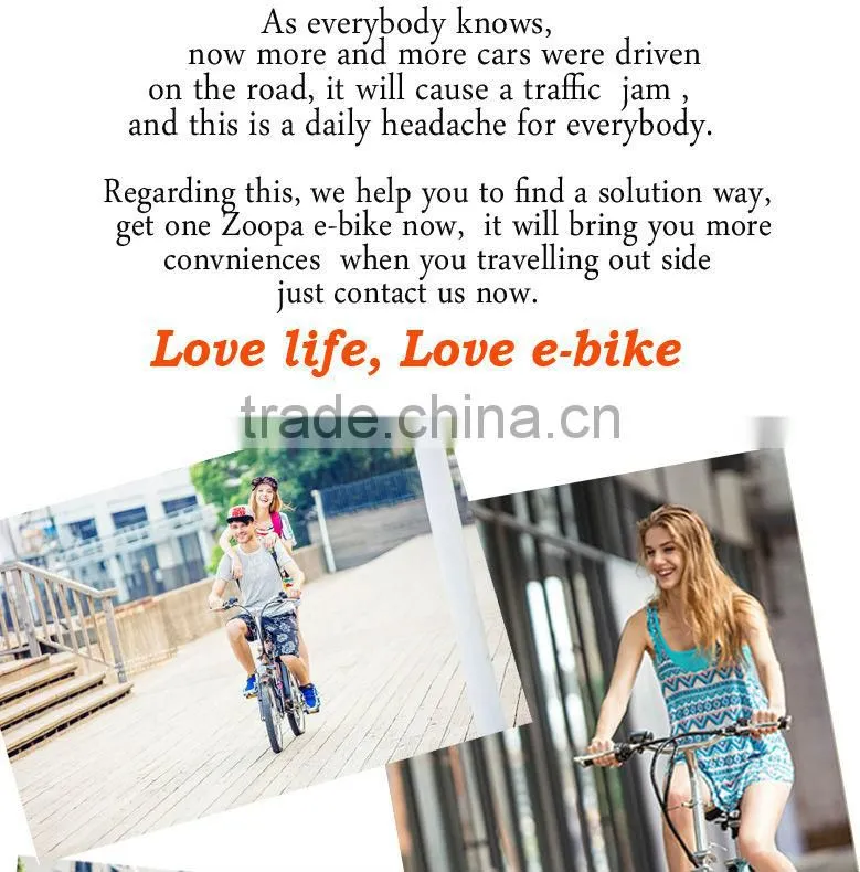 New Mini Folding electric bike (Model No.: ZP-TDN04Z), Easy carry