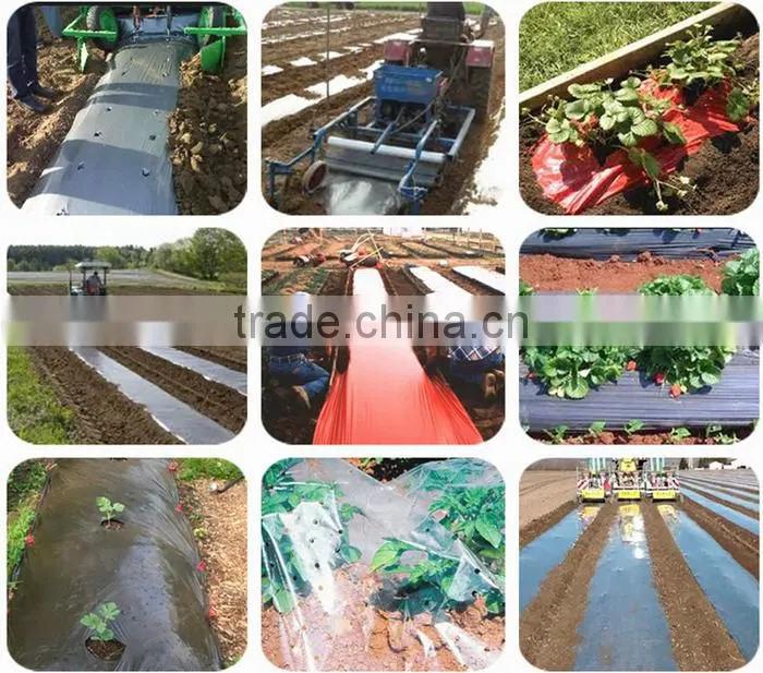 Perforated Black Agricultural Mulch Film for Weed Control