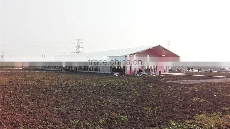 Chinese Golden supplier of large tent for storage warehouse