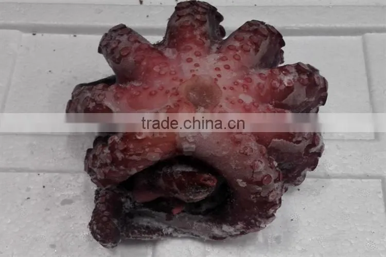 frozen raw octopus flower with many specifications