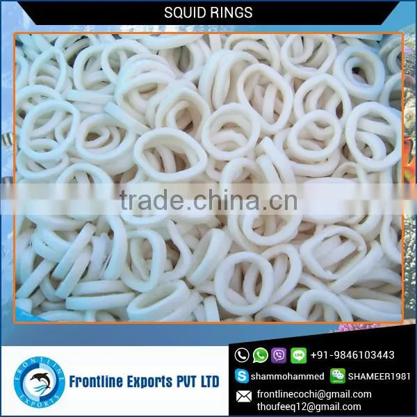 Best Flavour Natural Squid Rings at Low Price for Wholesalers
