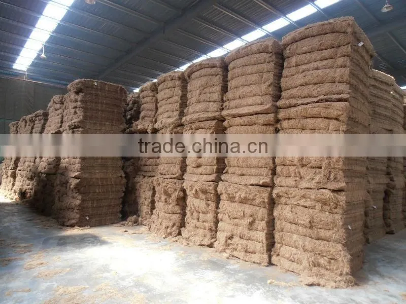 Oil Palm EFB Fiber For Mattress