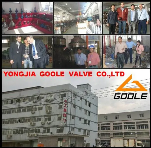 Goole Valve Co.,Ltd company overview - view 1