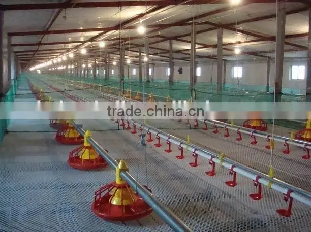 Factory direct sale automatic bird feeder good price