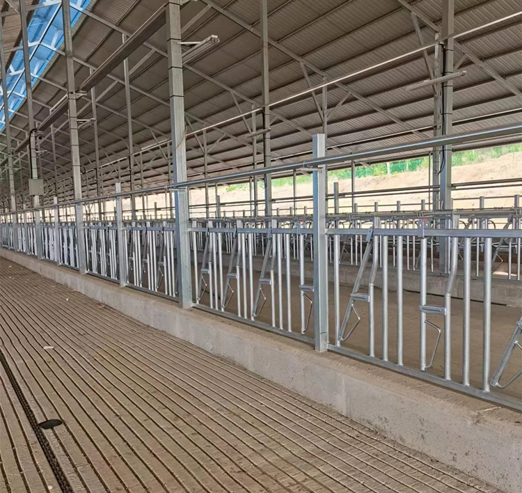 Yanshan County Muda Animal Husbandry Equipment Parts Factory company overview - view 2