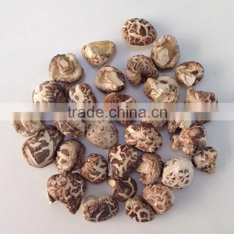 Dried Mushroom with Factory Prices