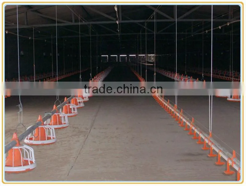 Automatic Pan Feeding Systems for chickens