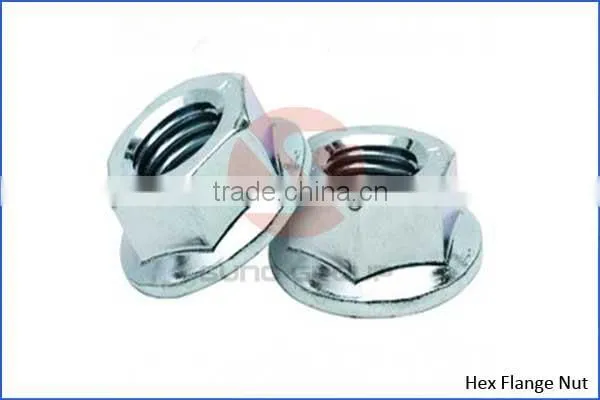 Manufacturer directly supply ss nuts nl.ns