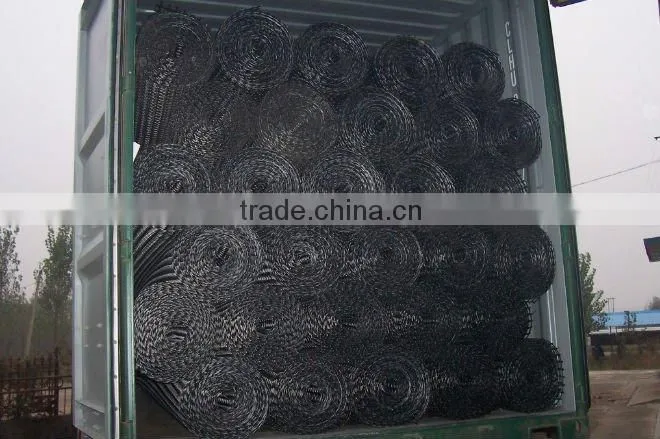 PP biaxial geogrid ( Roadbed Reinforcement Geogrid)