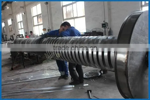 Large capacity vertical lift conveyor for grain
