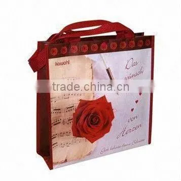 2013 Fashion PP shopping bag