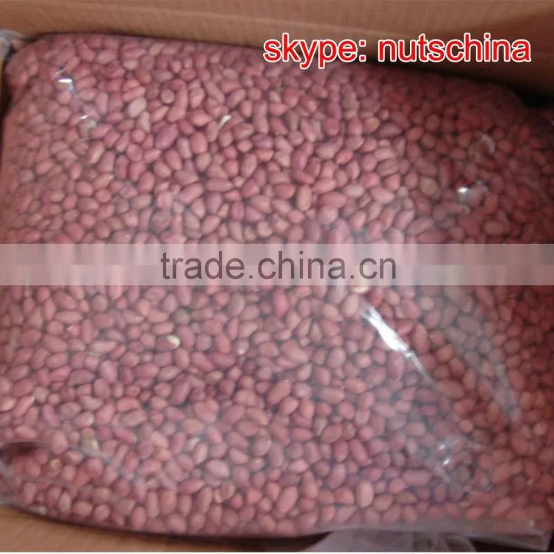 Chinese red skin peanuts 50/60 shandong FOR MACEDONIA /ALBANIA/NETHERLAND/TUNISIA