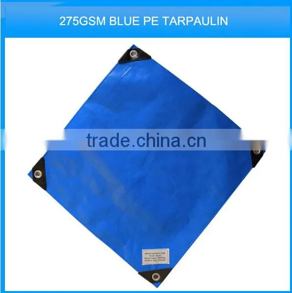 lightduty cheap pp tarpaulin export to pakistan