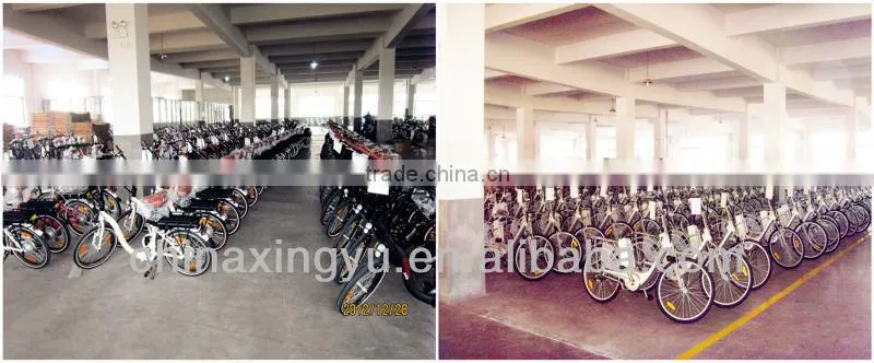 cheaper electric bike XY-TDE03ZA