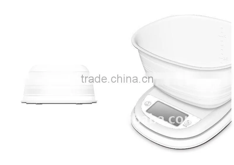 solar weighing scale