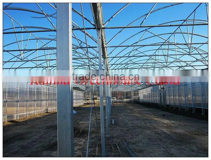 Venlo Garden Greenhouse for mushroom