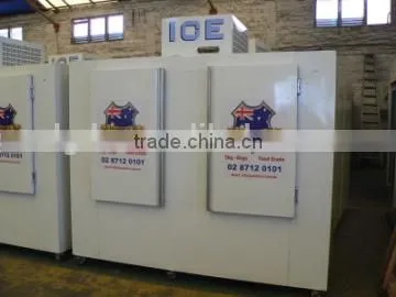 ice bin/bagged ice storage