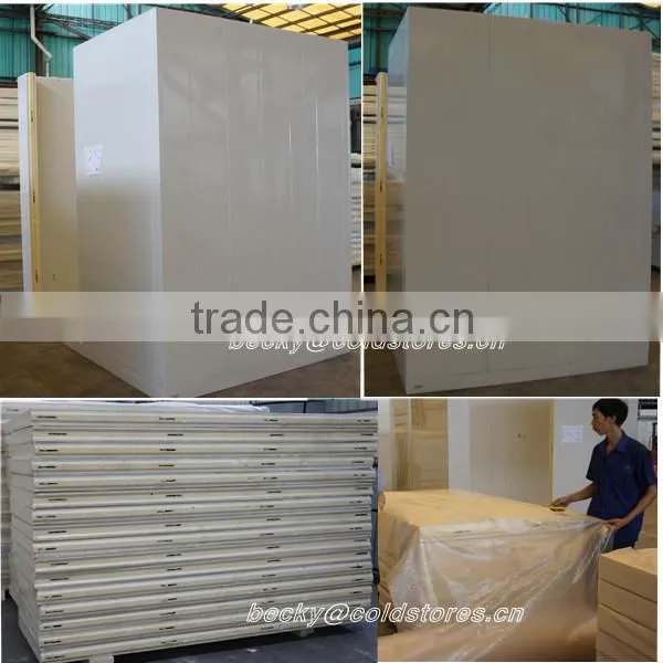 standard size walk in freezer room temp.-18degree C for meat storage
