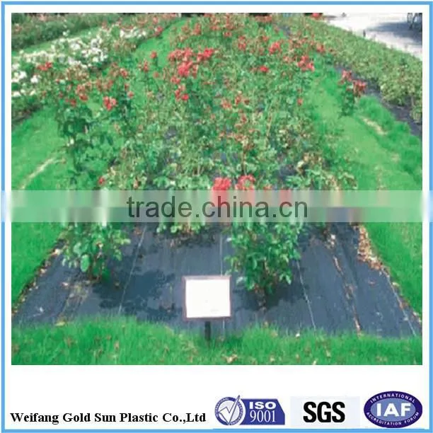 PP WOVEN GROUND COVER/WEED BARRIER/NEEDLE PUNCHED FABRIC/PP WOVEN GEOTEXTILES