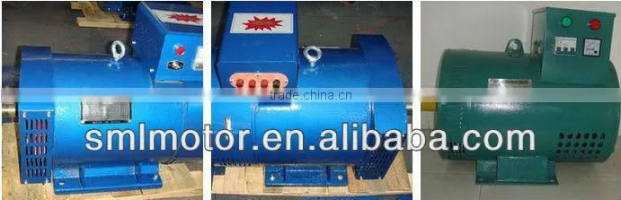 100% Copper Wire ST STC Pernanent magnet alternator Prices generator 220V