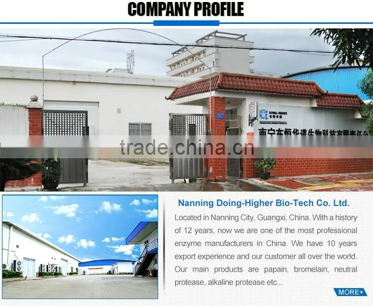 High quality feed additives enzymes feed grade bacillus subtilis