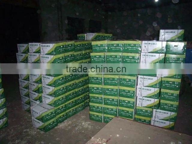 Chinese garlic 2012 crop
