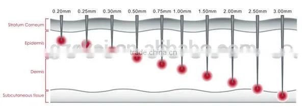 Biogenesis DNS roller 192