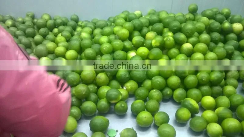 FRESH LEMON & FRESH LIME BEST price