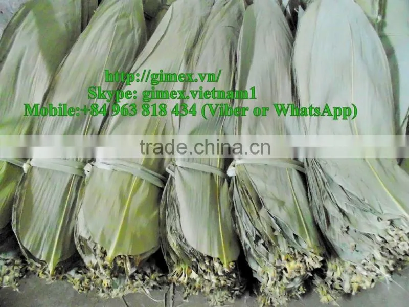 Dried bamboo leaves