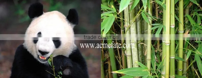 Top food grade disposable all size bamboo knot skewer