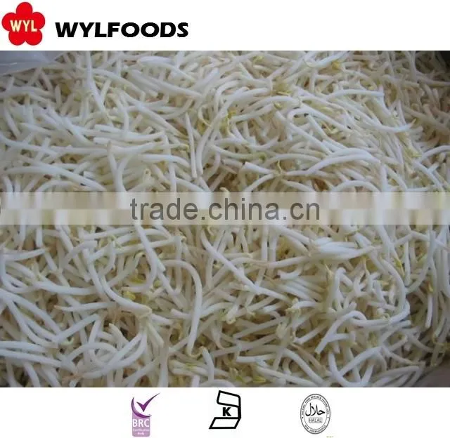 high quality frozen Soybean sprout 2015 best price