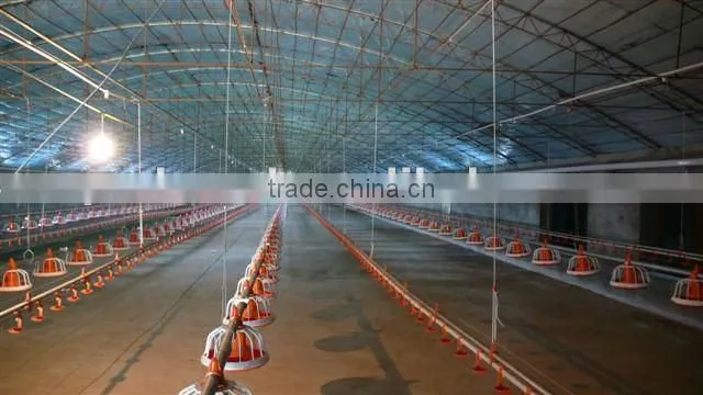 Poultry Feed line system