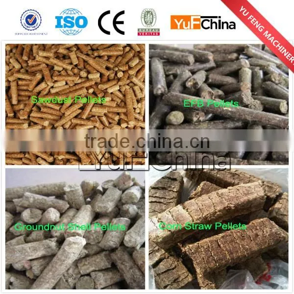 Famous brand biomass pellet mill for southeast Asia market