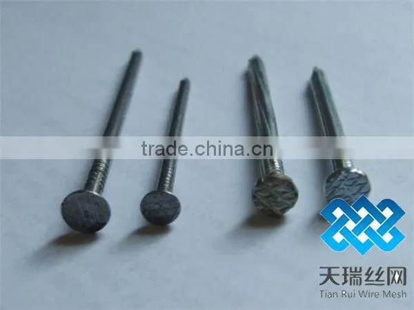 Nail/wire nail/common nails