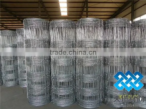 field mesh/cattle mesh/field fence