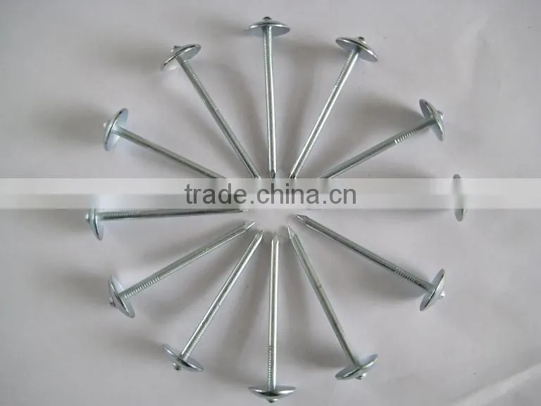 umbrealla nail with roofing head and thread nail body